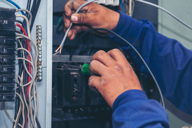 Best Electrical Repair Services  in Ina, IL