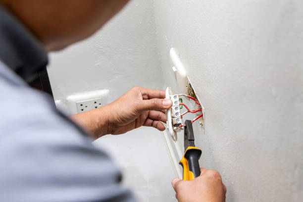 Best Electrician for Home Renovation  in Ina, IL